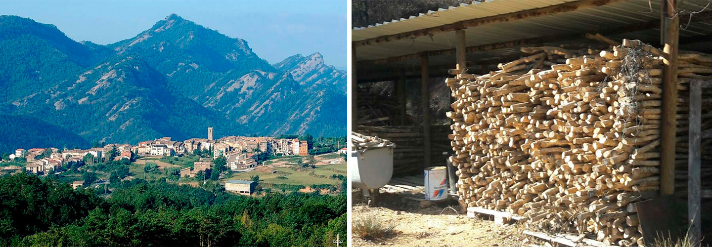 En los Pirineos crece el boj con el que hacemos nuestros bolillos